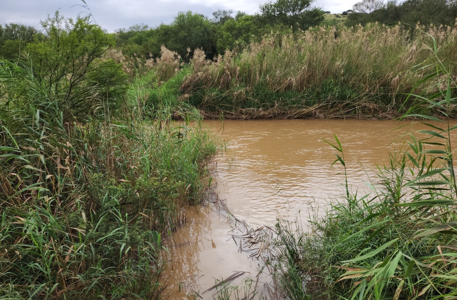 Commercial Property for Sale in Somerset East Rural Eastern Cape